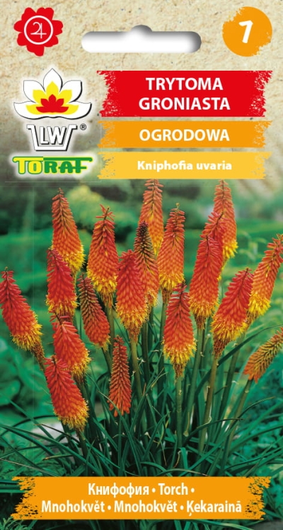 trytoma-groniasta-ogrodowa-knifofia-nasiona.jpg