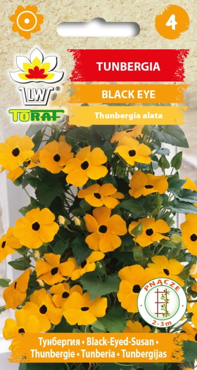 tunbergia-black-eye-pnacze-nasiona.jpg
