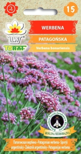 werbena-patagonska-nasiona-kwiatow.jpg