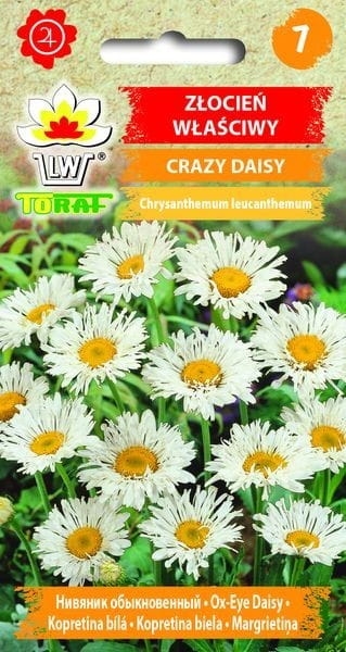 zlocien-wlasciwy-crazy-daisy-nasiona-kwiatow.jpg